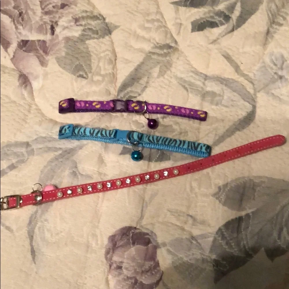 NWT 3 collars for cat or small dog